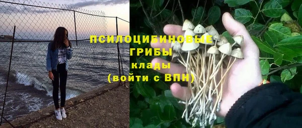 прущие крисы Абдулино